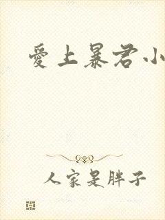 爱上暴君小甜心