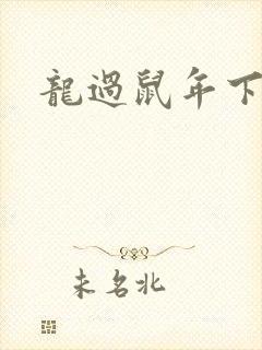 龙过鼠年下载