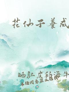 花仙子养成专家