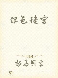 银色后宫