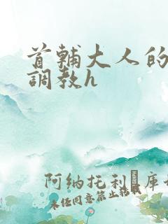 首辅大人的花式调教h