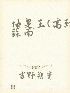 他是王(高干)苏南