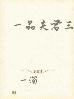 一品夫君三流妻