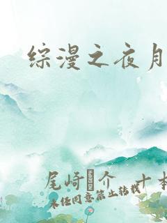 综漫之夜月
