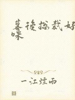 幕后总裁好孕妈咪