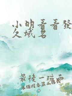 小明看看发布永久域名