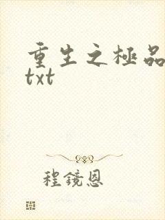 重生之极品公子txt