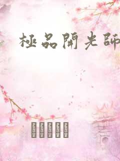 极品开光师阅读