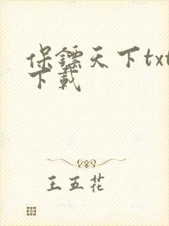 保镖天下txt下载