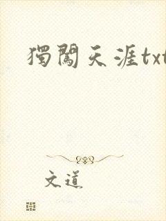 独闯天涯txt