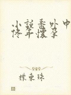 小说番外中结局佟年怀孕