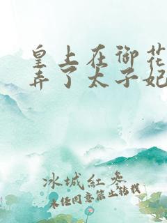 皇上在御花园c弄了太子妃