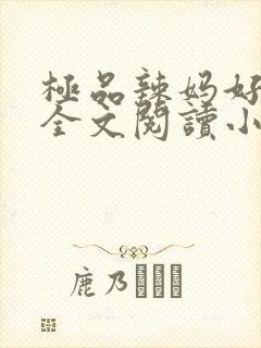 极品辣妈好v5全文阅读小说