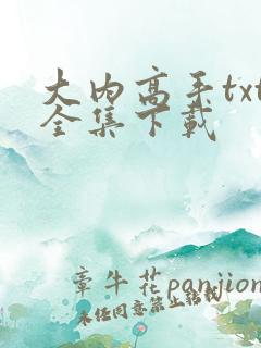 大内高手txt全集下载