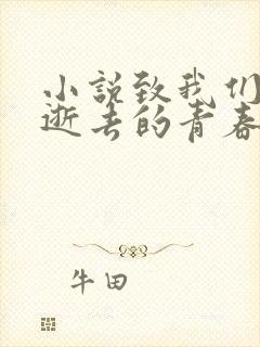 小说致我们终将逝去的青春