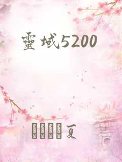 灵域5200