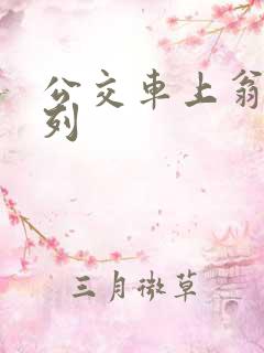 公交车上翁熄系列