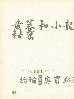 黄蓉和小龙女的秘密