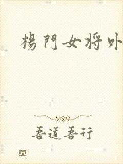 杨门女将外传