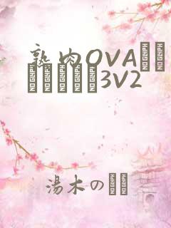 熟肉OVAちゃんはしたい3V2