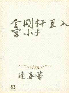 金刚杵直入莲花宫小f