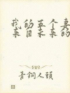 我的五个妻子和来自未来的孩子