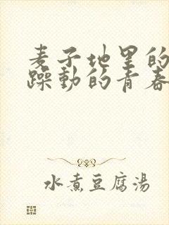 麦子地里的故事躁动的青春小说