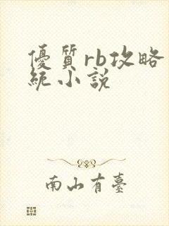 优质rb攻略系统小说