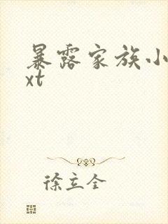 暴露家族小说txt