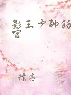 影王少帅的女长官