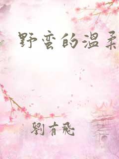 野蛮的温柔