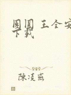 团圆 王全安 下载