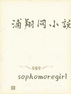 浦翔网小说