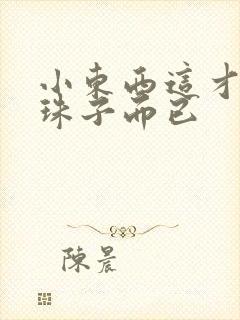 小东西这才一颗珠子而已