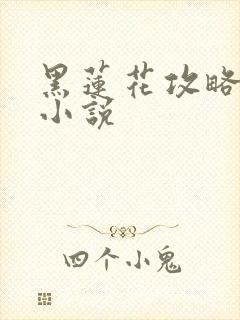 黑莲花攻略手册小说
