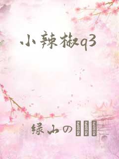 小辣椒q3