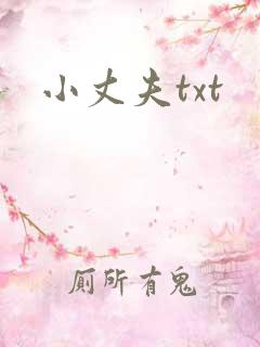小丈夫txt