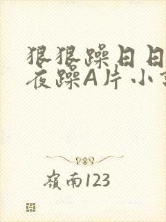 狠狠躁日日躁夜夜躁A片小说