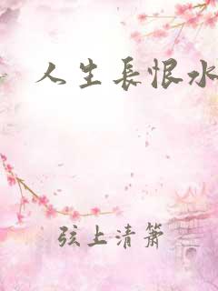 人生长恨水长东