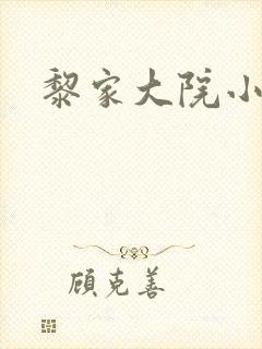 黎家大院小说