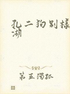 孔二狗别样的江湖