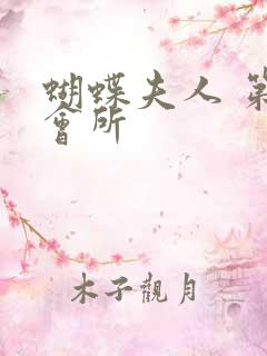 蝴蝶夫人 第一会所