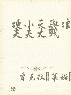 硬小天与浪小辉夫夫大战