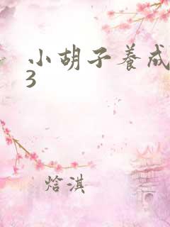 小胡子养成计划3