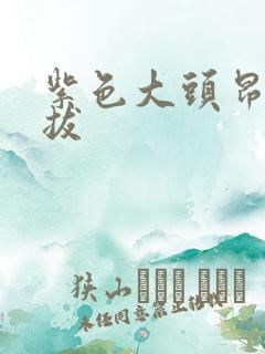 紫色大头昂扬挺拔