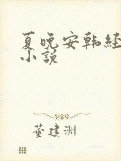 夏晚安韩经年的小说