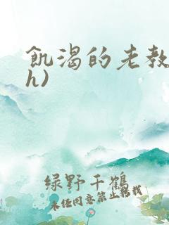 饥渴的老教授(h)