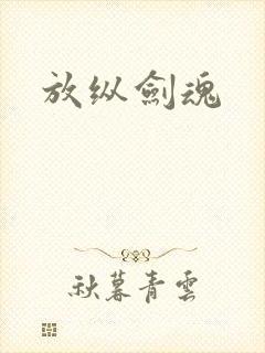 放纵剑魂