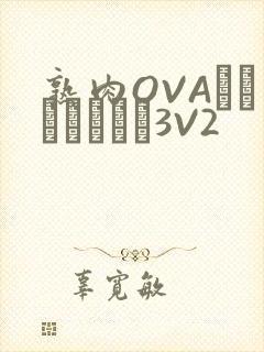熟肉OVAちゃんはしたい3V2