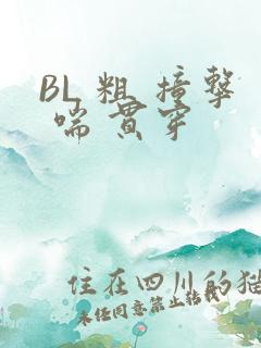 BL 粗 撞击 喘 贯穿